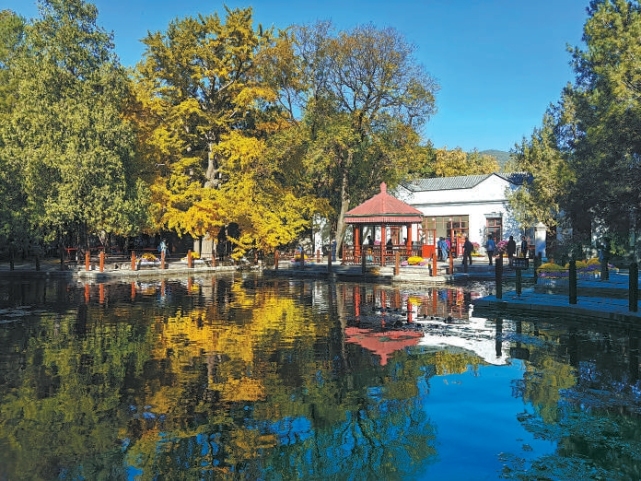 寒生露凝深秋至，這個京味非遺幫你留住北京秋意