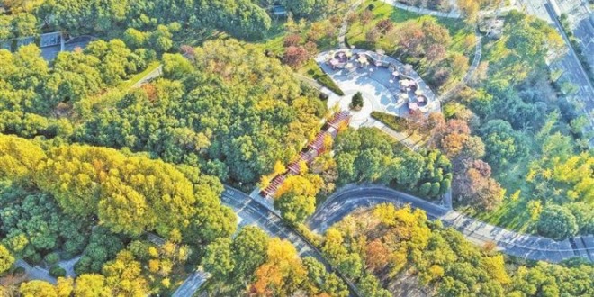 無錫：斑斕初冬