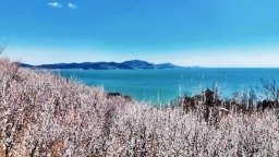 葫蘆島：面朝大海 春暖花開