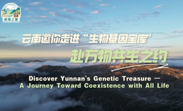 【瀾湄之窗】雲南邀你走進“生物基因寶庫”，赴萬物共生之約_fororder_ef6c8a4826d8258a82483e29d6f1cfbe