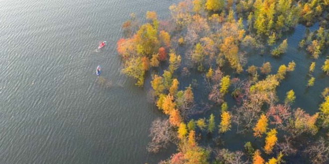 重慶開州：水上彩林醉遊人