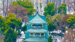 武漢東湖雪景美如畫