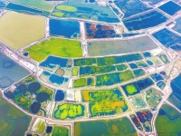 運城鹽湖：天然調色板