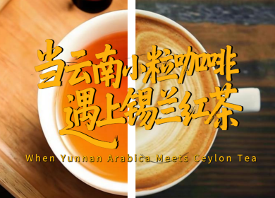 【瀾湄之窗】當雲南小粒咖啡遇上錫蘭紅茶_fororder_725800653d16f0f11fe684ddc666d553