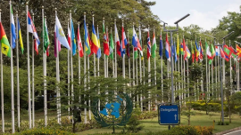 聯合國環境規劃署發佈年度報告：2025年全球合作推動環境治理取得多項進展