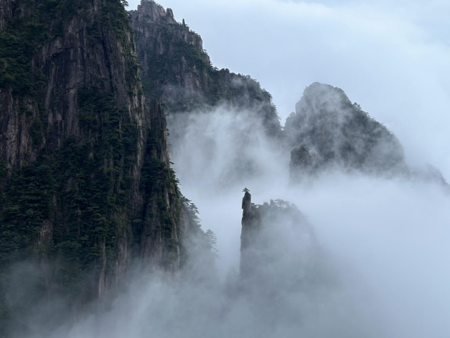 黃山：雲壑丹青 煙雨入畫來_fororder_圖片3