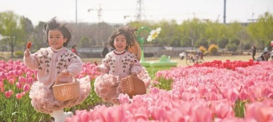 浙江嘉興經開區姚家蕩公園春暖花開