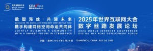 2025世界互聯網大會數字絲路發展論壇_fororder_主視圖1200x500