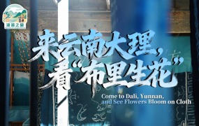 【瀾湄之窗】來雲南大理，看“布裏生花”
