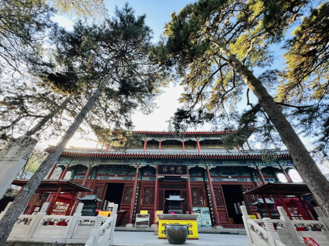 春雷乍動正驚蟄，京味兒非遺伴你迎接春日活力