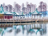 武漢東湖雪景美如畫