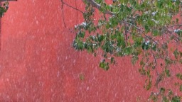 河南鄭州：落雪覆飛檐 這份中式浪漫藏不住了