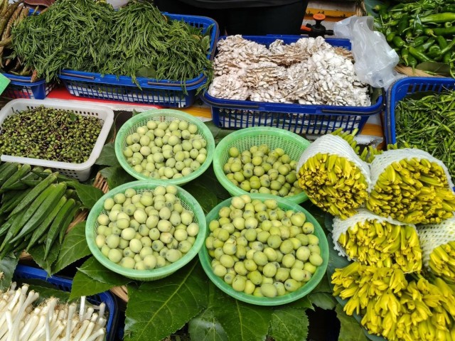 外眼看雲南:東南亞網紅鏡頭下的煙火氣與國際范兒,收穫全球千萬播放量! 外眼看雲南:東南亞網紅鏡頭下的煙火氣與國際范兒,收穫全球千萬播放量!