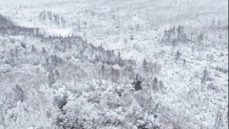 漠河雪春