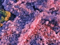 立春“載入”完成！貴州即將進入“高飽和度”的季節