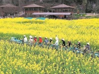 不負好春光 成都春季文旅地圖活動線路全攻略上新