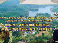 勇敢的人才配享用的鮮甜美味！跟著美國博主在雲南開“蜂巢盲盒”_fororder_微信圖片_〉〇〉「-〈〉-〈【_〇』「」《《_【《「