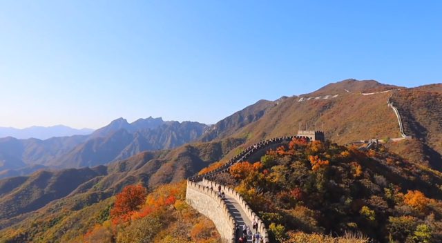氣肅而霜降 這個京味非遺可以留住無邊秋色