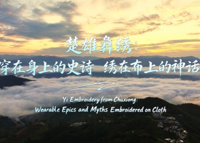 【瀾湄之窗】楚雄彝繡：穿在身上的史詩 繡在布上的神話_fororder_彝族_副本