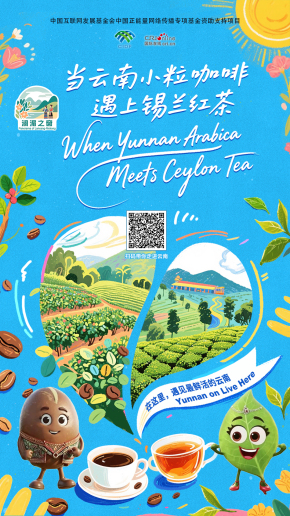 【瀾湄之窗】當雲南小粒咖啡遇上錫蘭紅茶（海報）