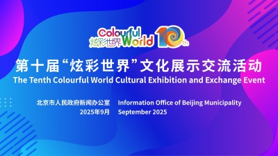 第十屆“炫彩世界”文化展示交流活動