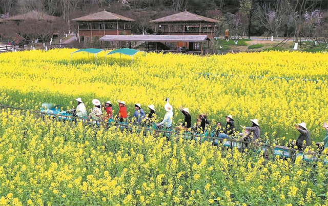 不負好春光 成都春季文旅地圖活動線路全攻略上新