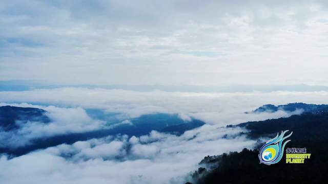 景邁山雲海:雲端詩畫與科學密碼 景邁山雲海:雲端詩畫與科學密碼_fororder_2