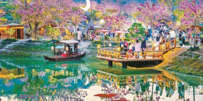 廈門同安：浪漫花海