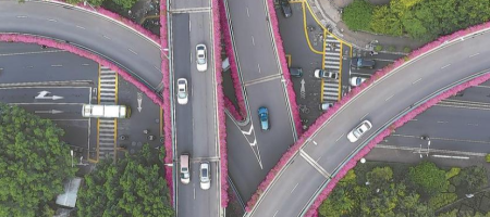 福州：一路繁花