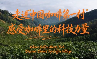 【瀾湄之窗】走進“中國咖啡第一村”，感受咖啡裏的科技力量_fororder_56f84ad78deb25c5917ecb9165998c70