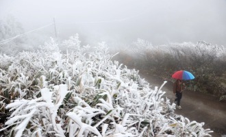 重慶黔江：雪潤森林公園