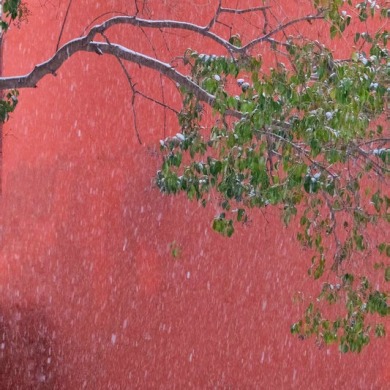 河南鄭州：落雪覆飛檐 這份中式浪漫藏不住了