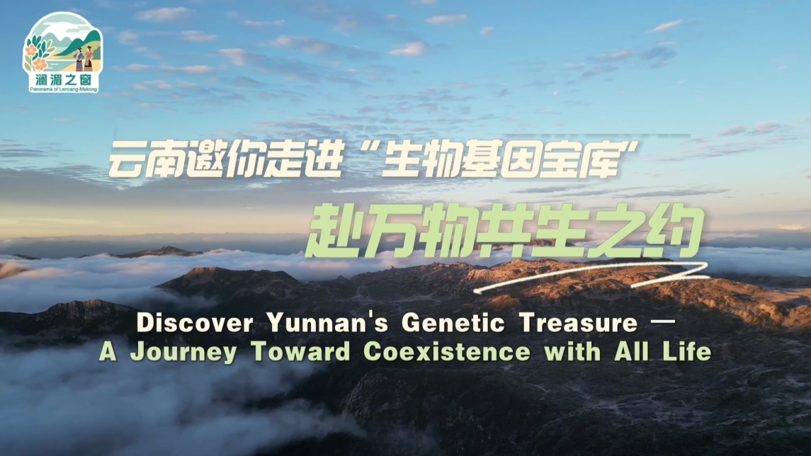 【瀾湄之窗】雲南邀你走進“生物基因寶庫”，赴萬物共生之約_fororder_ef6c8a4826d8258a82483e29d6f1cfbe