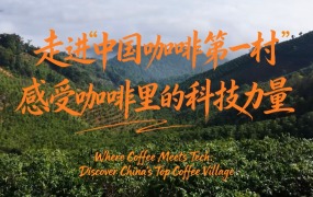 【瀾湄之窗】走進“中國咖啡第一村”，感受咖啡裏的科技力量