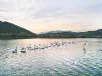 福建：山海交相輝映 城鄉相得益彰