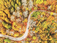 秋之彩色吉林_fororder_微信圖片_〉〇〉「-〈〇-《〇_〇』「』》』_「「』