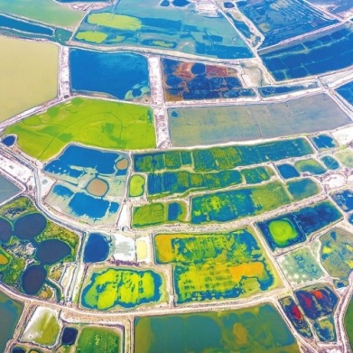 運城鹽湖：天然調色板