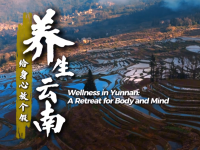 【從雲南出發】養生雲南：給身心放個假_fororder_微信圖片_20260213143823_267_127