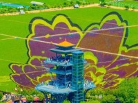 瀋陽稻田畫上新了