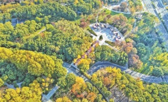 無錫：斑斕初冬