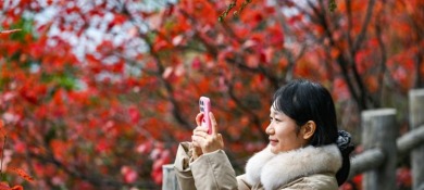 重慶巫山：初冬美景引客來