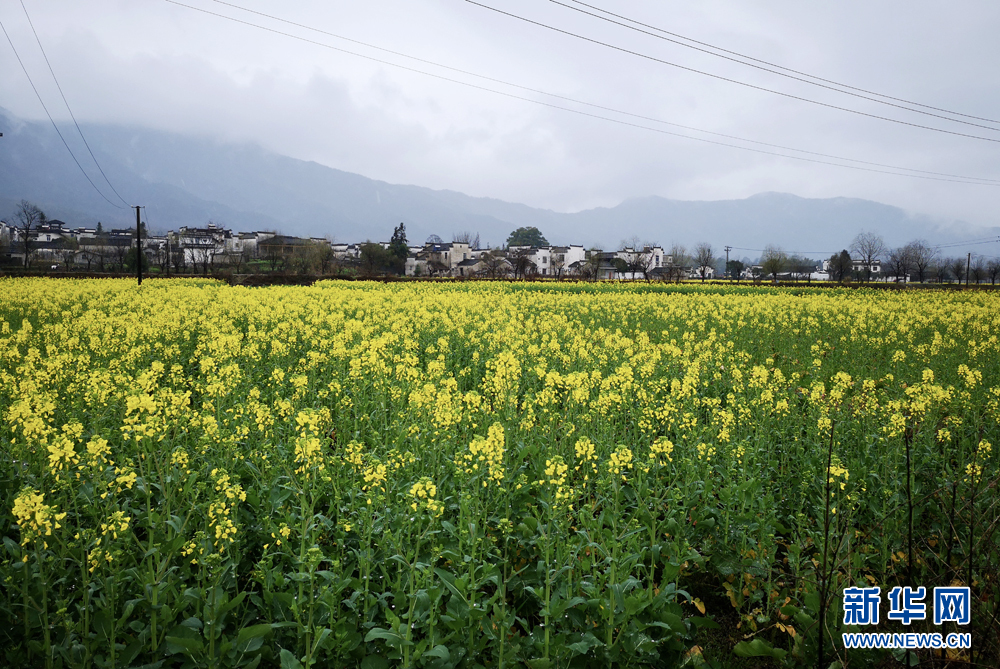 安徽：江南煙雨天 南屏花似海