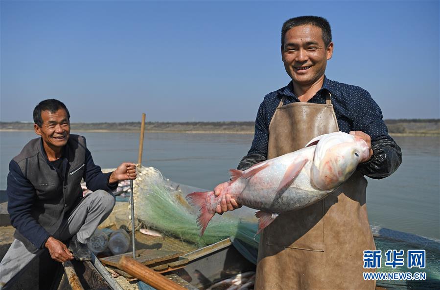 鄱陽湖：人歡魚躍冬捕忙