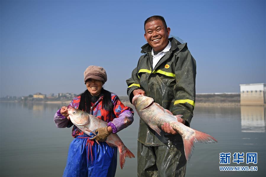 鄱陽湖：人歡魚躍冬捕忙