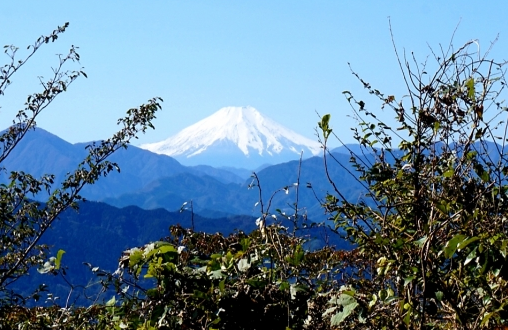 到八王子・高尾山地區擁抱東京大自然