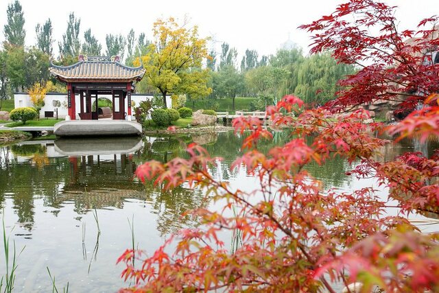 （有修改）【張琳瑞稿件】北京市豐台區推出5條精品旅遊線路邀遊客秋季暢遊豐臺