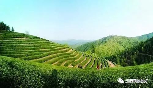 朱 虹：江西上猶的七張名片