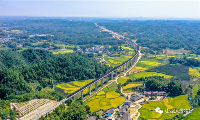 朱虹：宜豐——禪風竹韻 康養福地