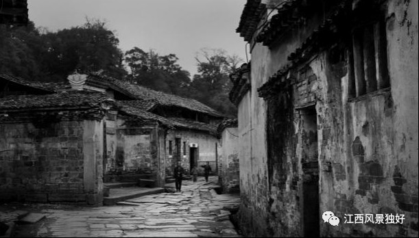 朱虹：宜豐——禪風竹韻 康養福地