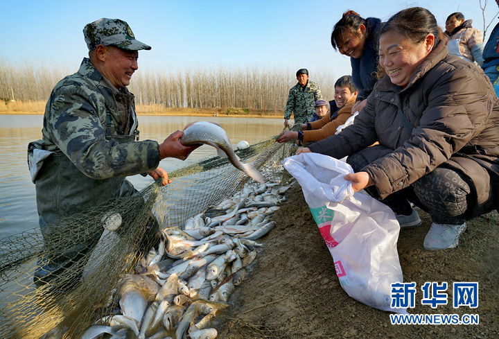安徽：冬捕分魚迎新 村民免費領魚